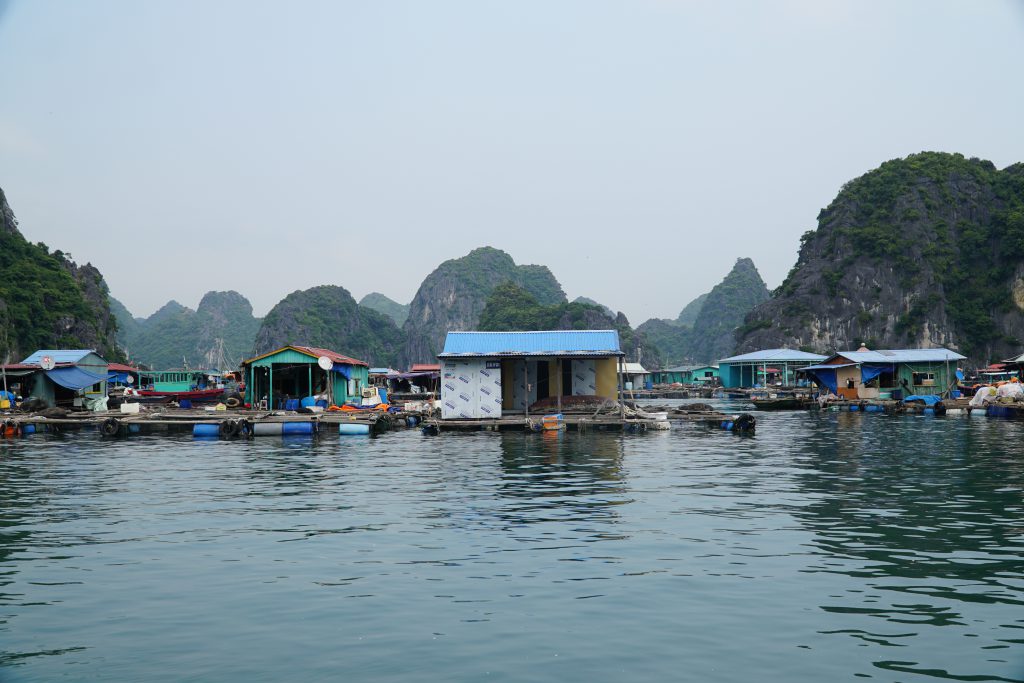 Rejs po Ha Long Bay