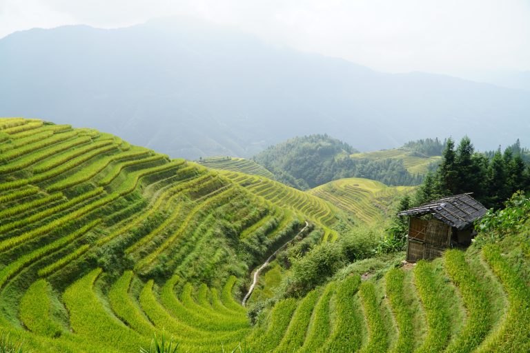 Tarasy ryżowe w Chinach - informacje praktyczne - Wypisz wymaluj podróż