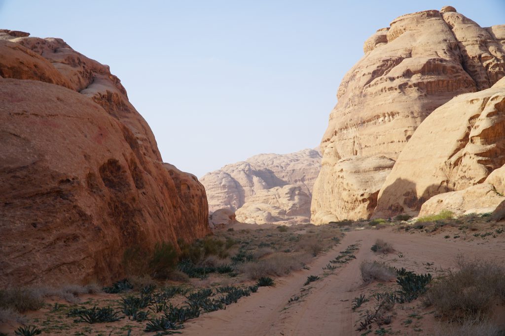 Pustynia Wadi Rum, droga do obozu