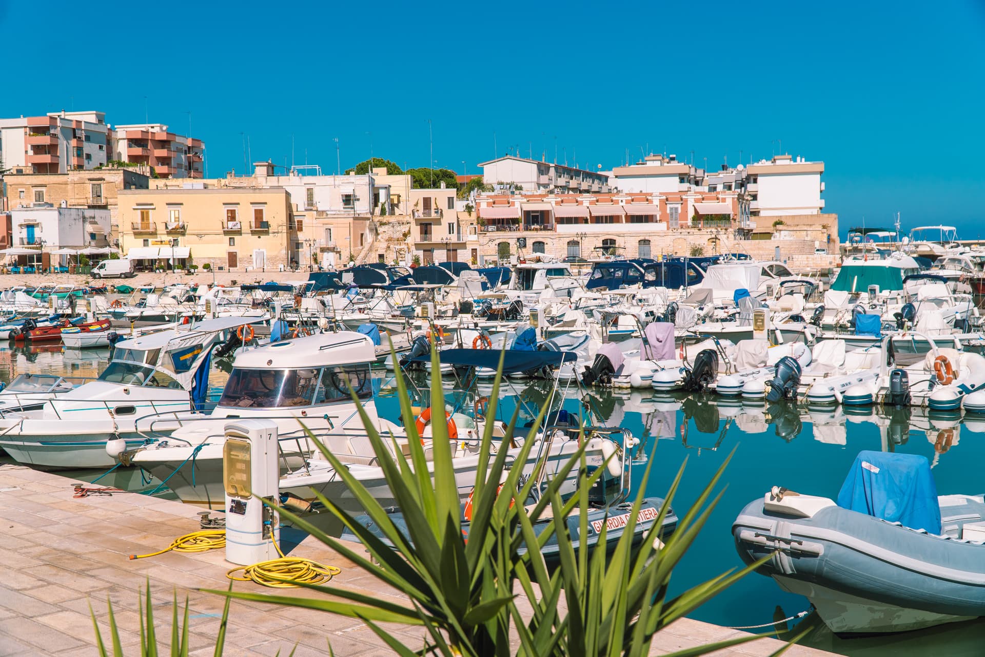 Łódki w Bisceglie | Najładniejsze miasteczka w Apulii