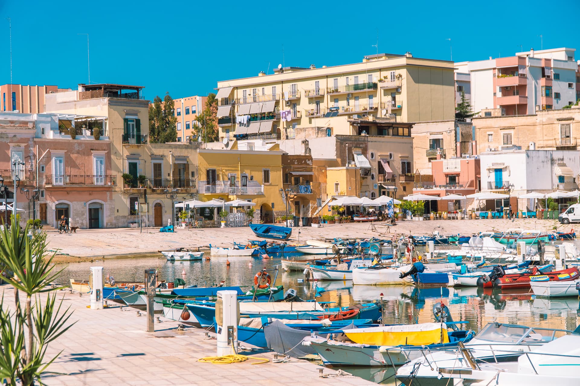 Kolorowy port w Bisceglie | Plan wyjazdu do Apulii