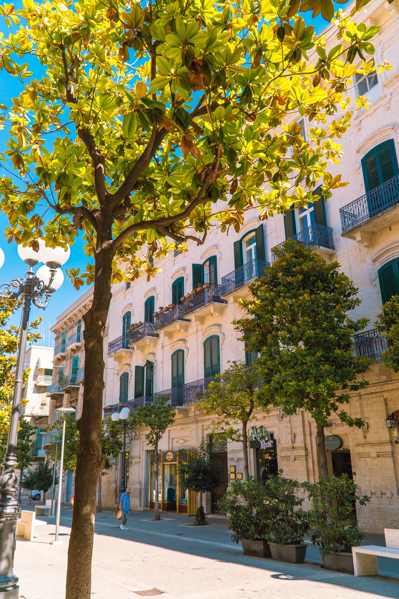 Ulica prowadząca do centrum Bisceglie | Najładniejsze miasteczka w Apulii