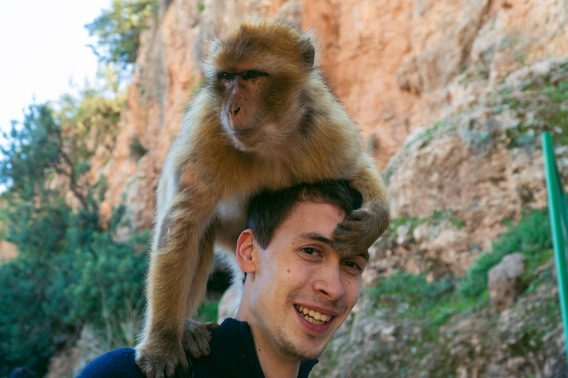 uwaga na małpy przy wodospadach ouzoud | Plan wyjazdu do Maroko
