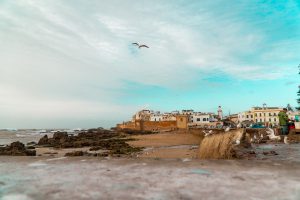 Muty miejskie w Essaouirze | Plan wyjazdu do Maroko