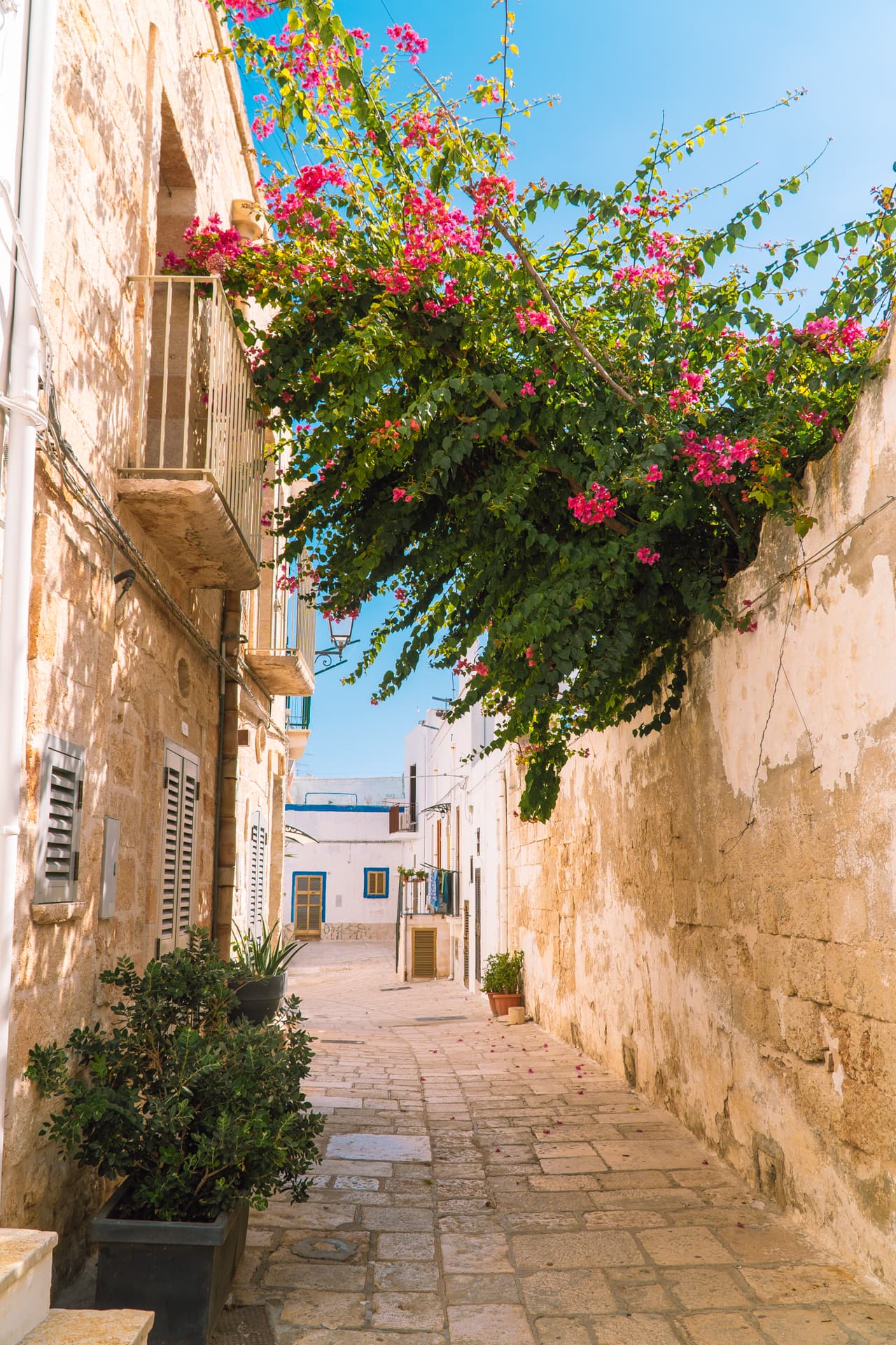 Kwiaty na ulicach Polignano a Mare | Najładniejsze miasteczka w Apulii