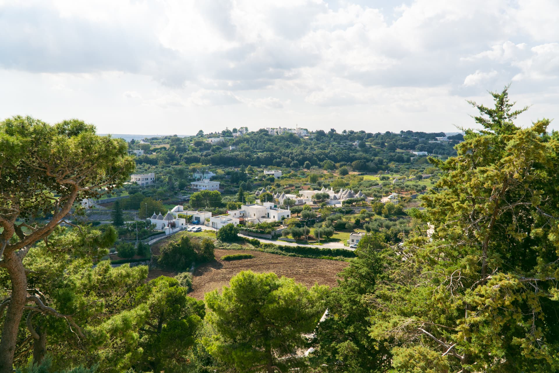 ocorotondo w Apulii to tak zwany Balkon doliny Valle d'Itria