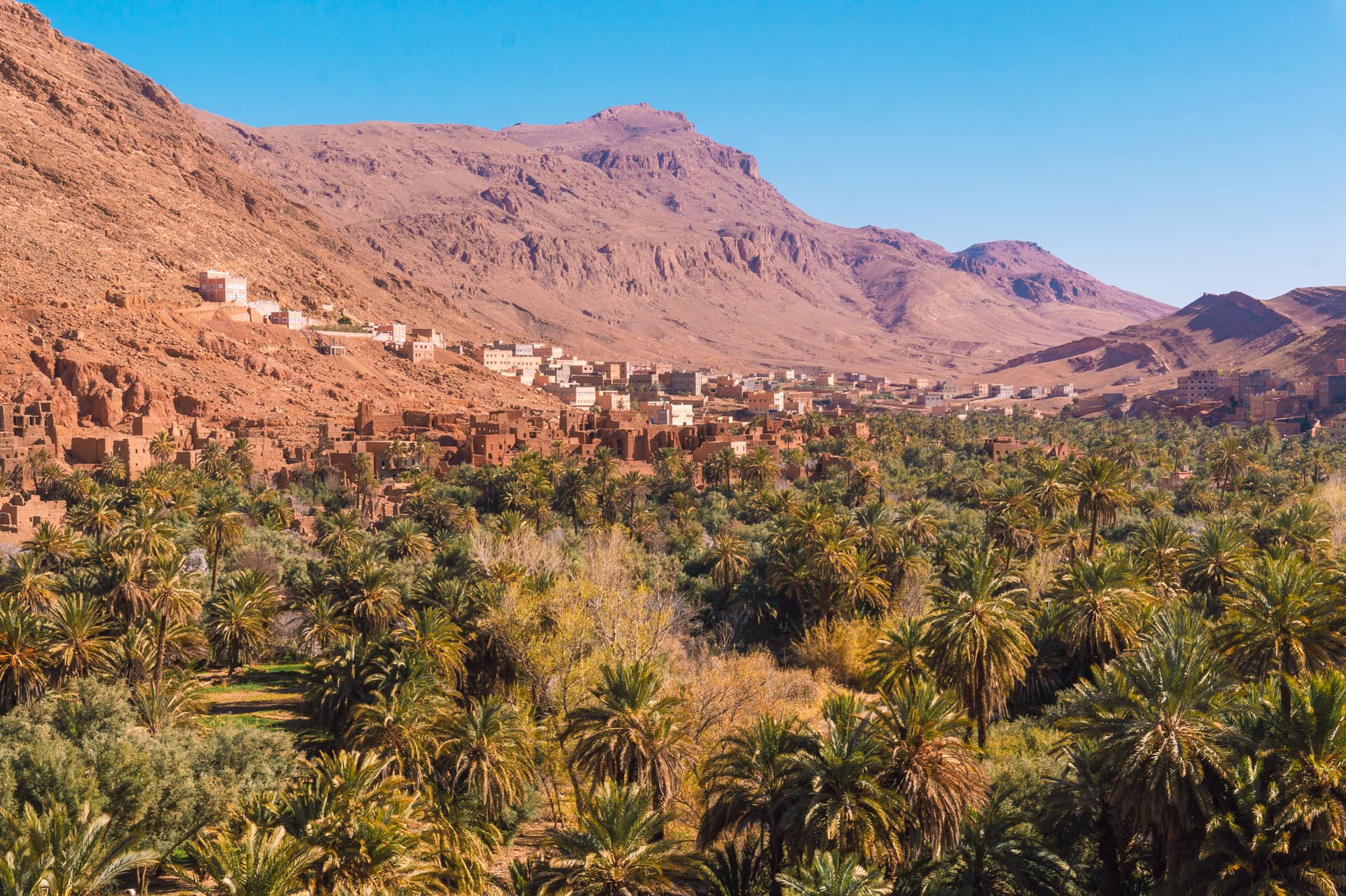 Palmy w Maroko | Plan wyjazdu do Maroko