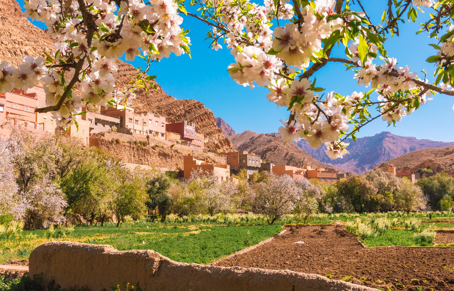Wiosna w Maroko | Plan wyjazdu do Maroko
