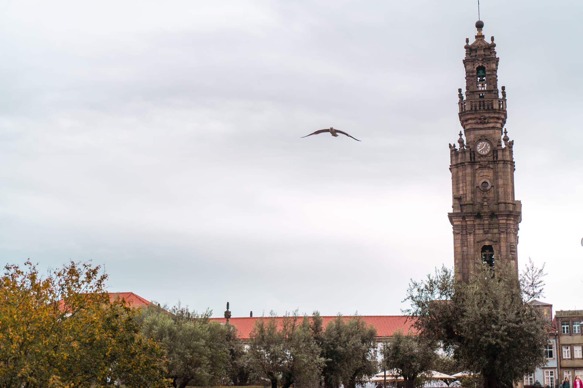 Punkt widokowy na Wieży Kleryków w Porto