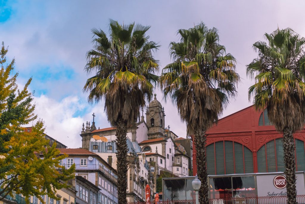 Palmy w centrum  Porto