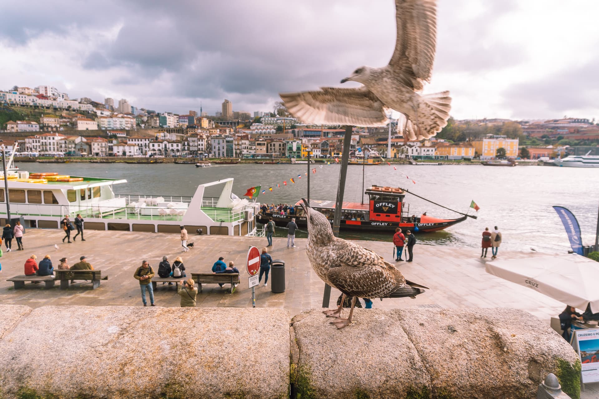 Zwiedzanie Porto informacje praktyczne