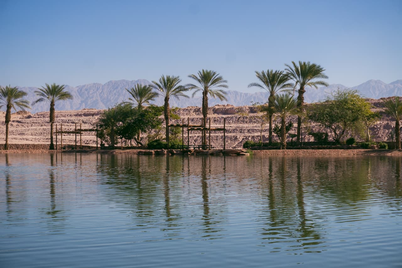 Oaza na pustyni Negew w Timna Park w Izraelu
