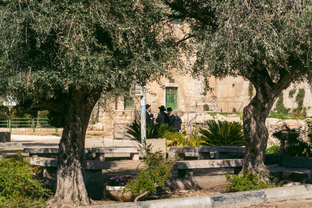 Zwiedzanie Hebronu | Izrael od a do z 