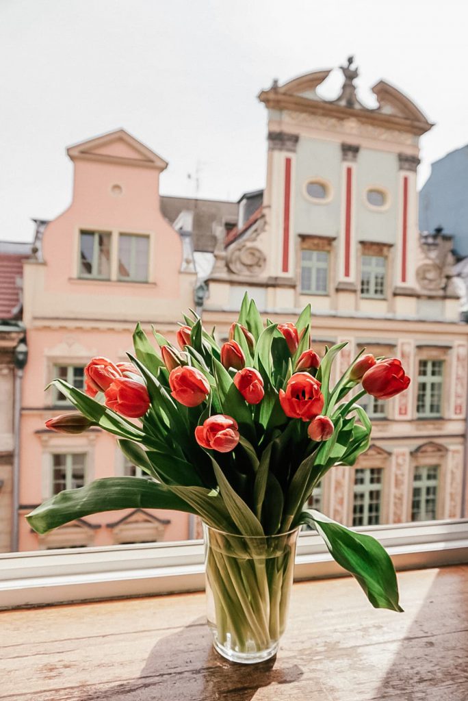 Świeże kwiaty w wazonie | zakupy w czasie kwarantanny