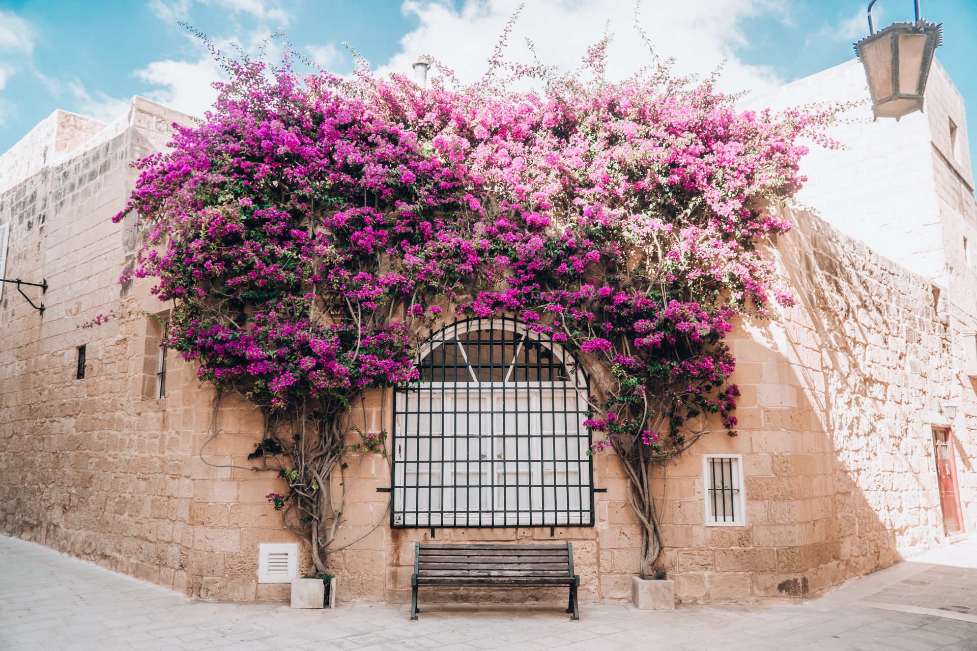 Kolorowe kwiaty na uliczkach Mdiny | Zwiedzanie Malty