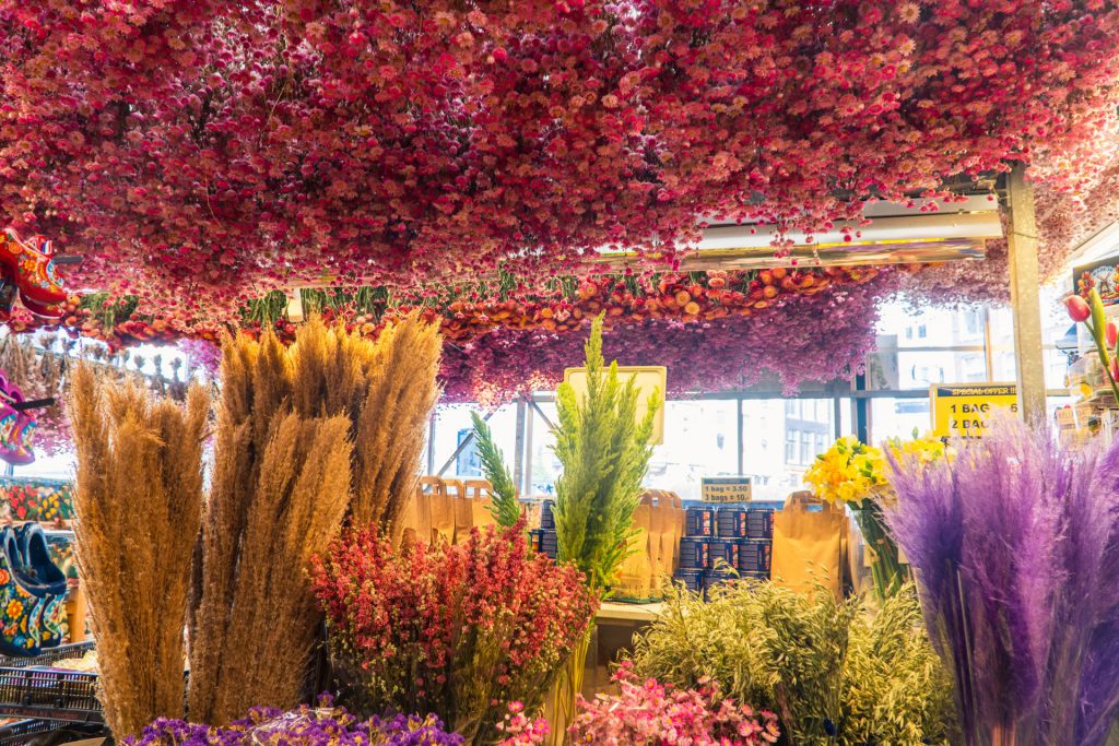 Pływający targ kwiatowy Amsterdam | Co zobaczyć w Amsterdamie?