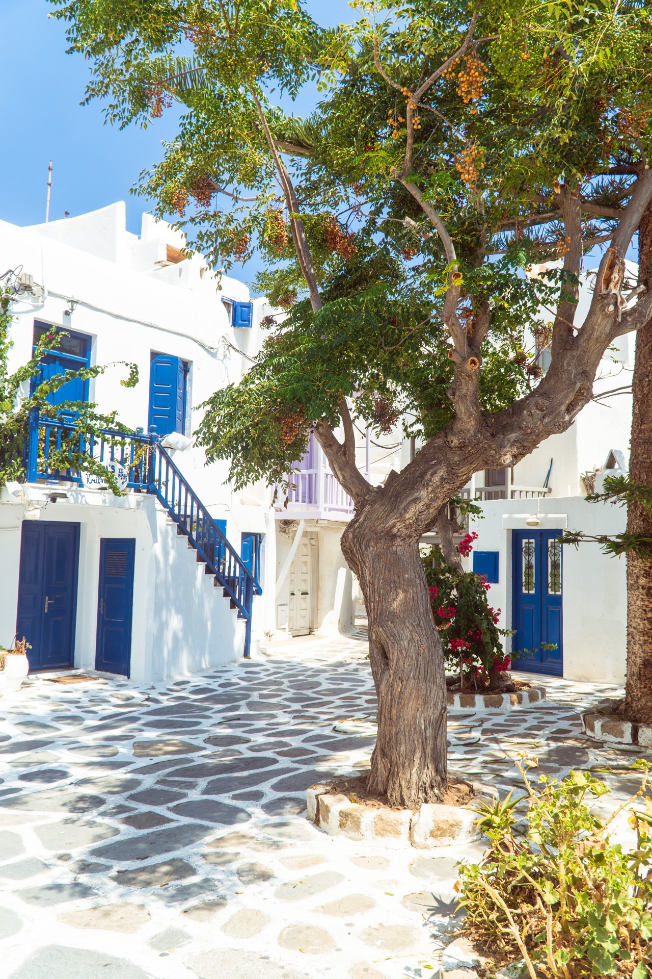 Biało niebieskie domy na Mykonos | Czy warto jechać na Mykonos?