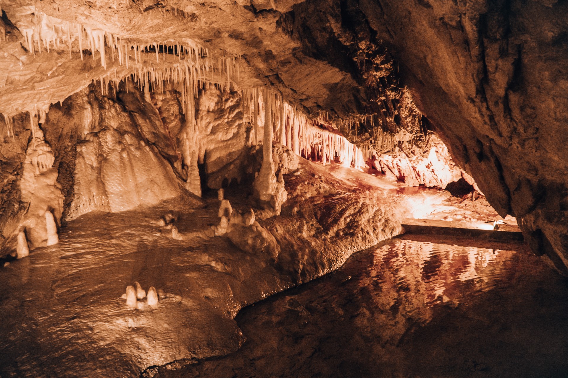 Jedna z najpiękniejszych grot | Jaskinia Niedźwiedzia