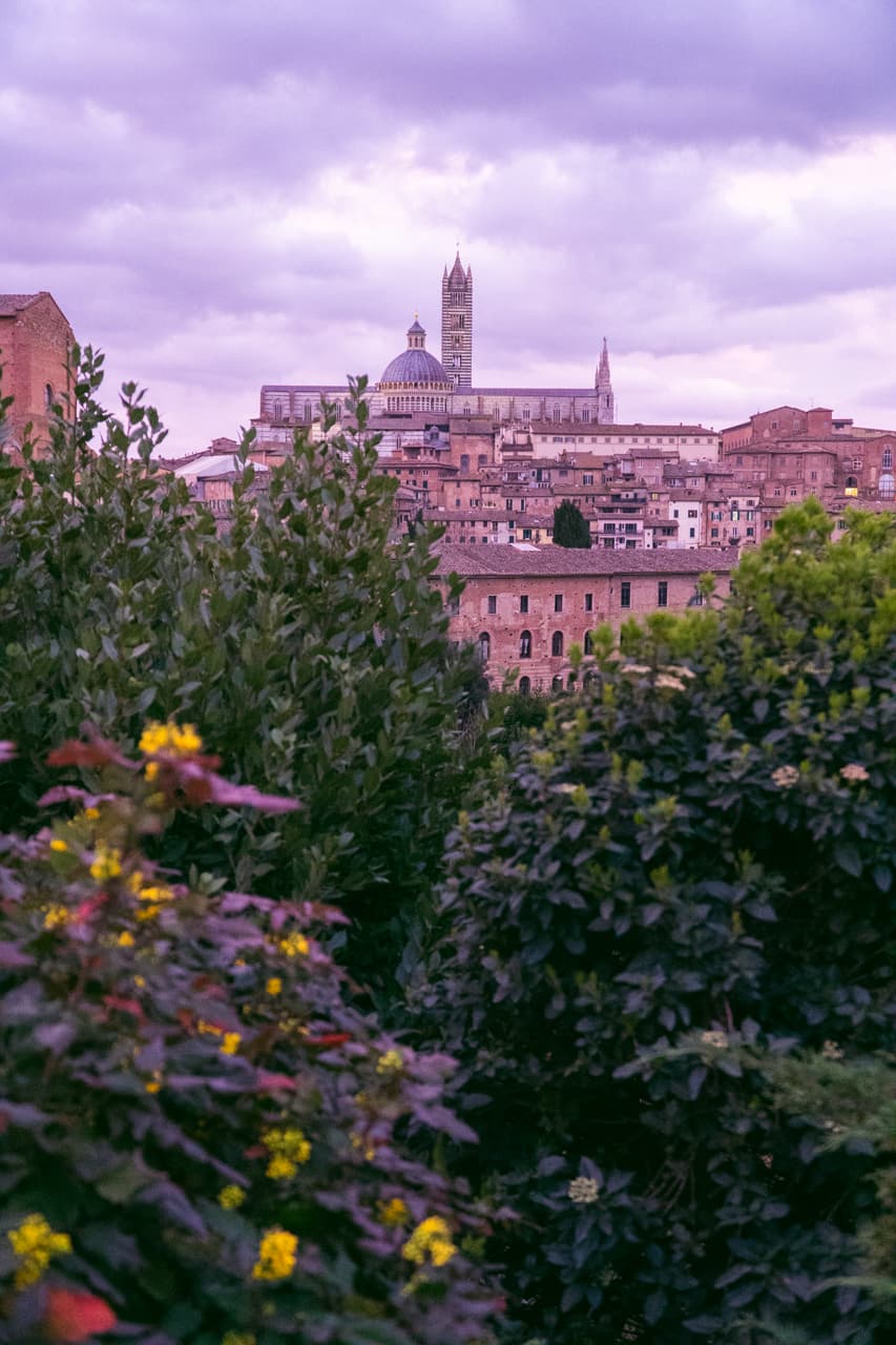 Duomo górująca nad resztą miasta | Zwiedzanie Sieny