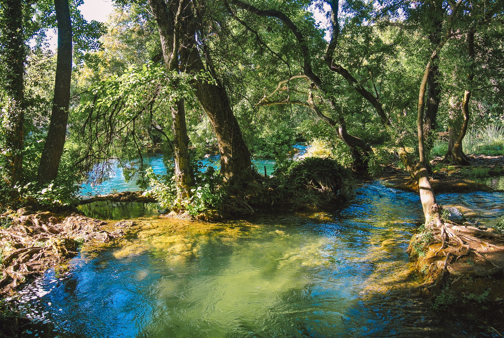 Wodospady Krka to także ożywcza zieleń