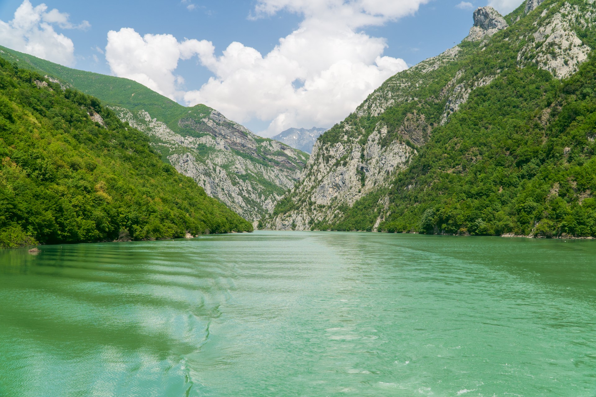 Jezioro Komani | Czy warto jechać do Albanii?