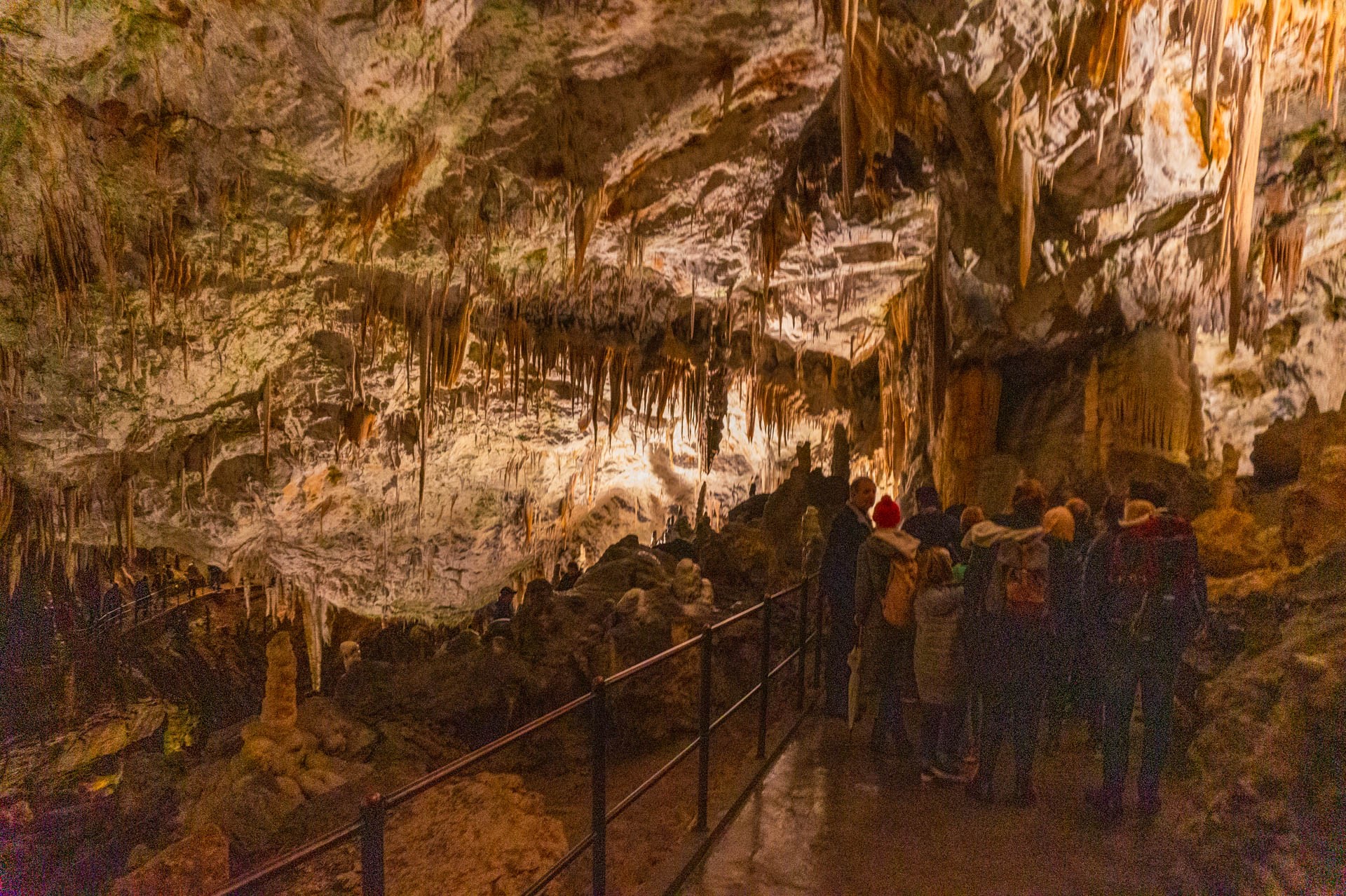 Wnętrze jaskinii Postojna | Jaskinie Szkocjańskie czy Postojna