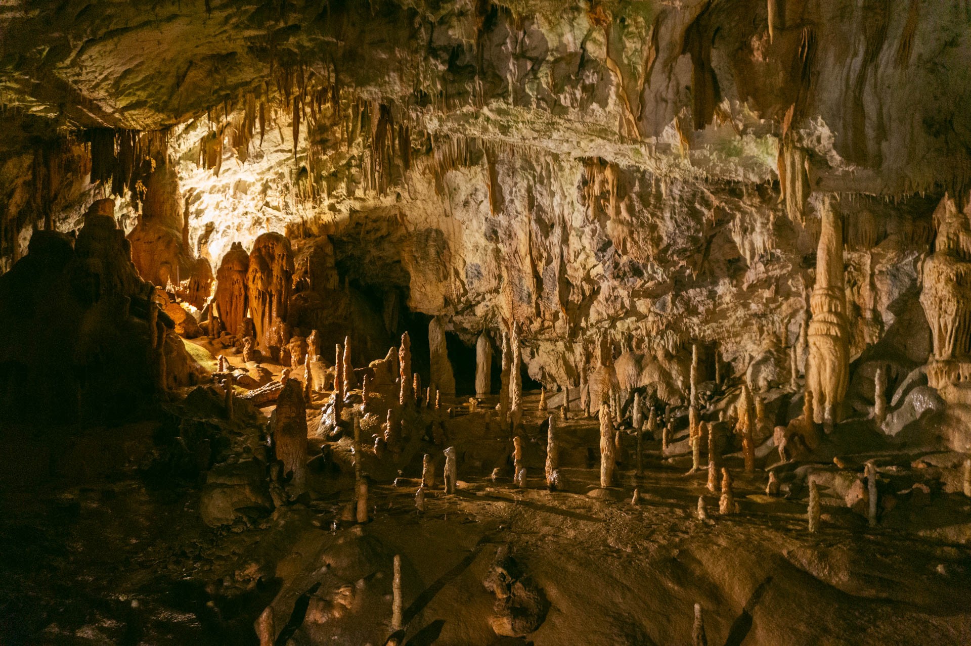 Zwiedzanie Jaskinii Postojnej | Jaskinie Szkocjańskie czy Postojna?