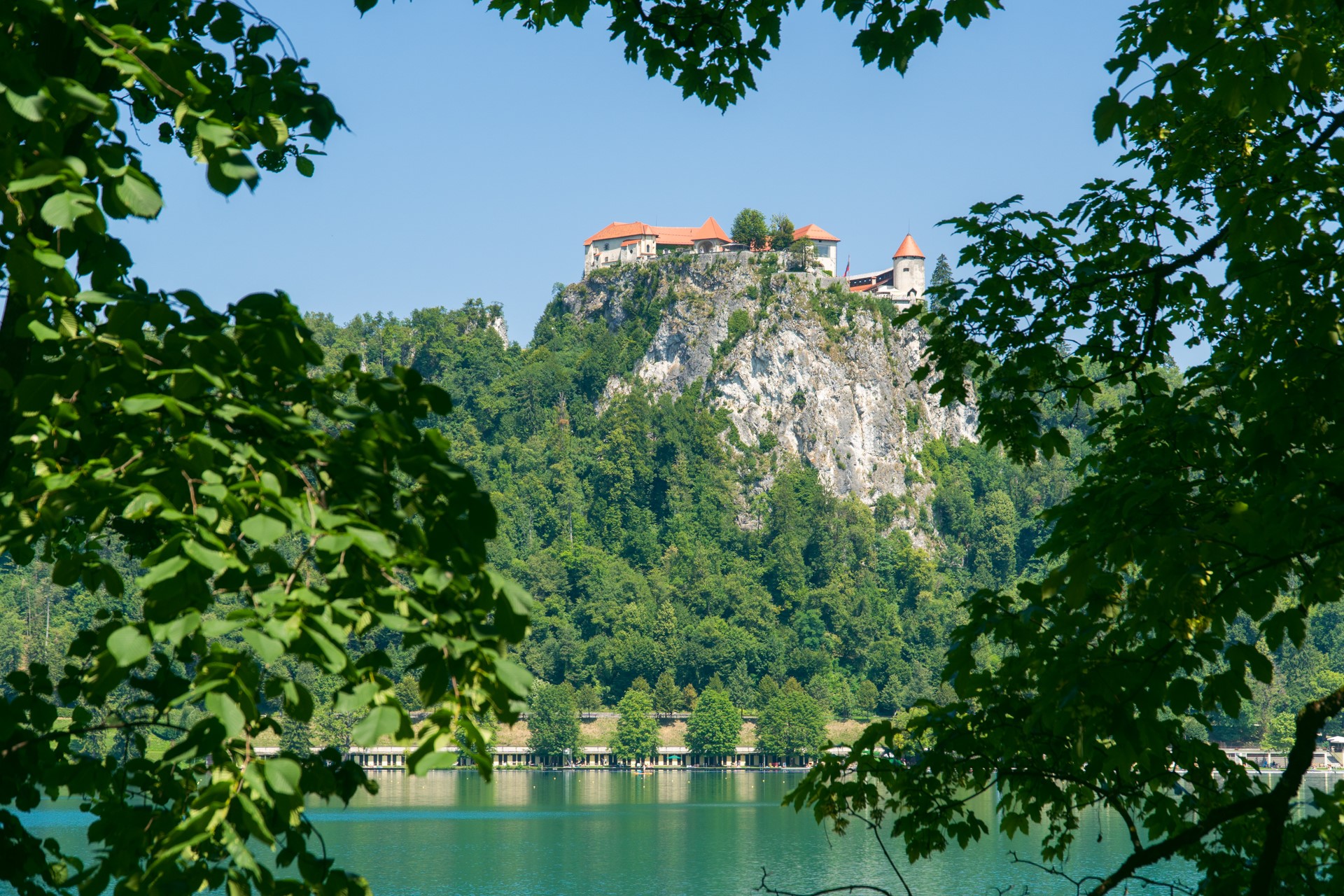 Zamek w Bledzie | Jezioro Bled