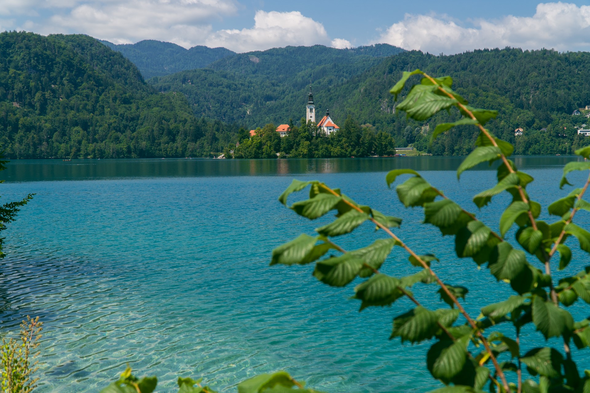 Jezioro Bled w lipcu