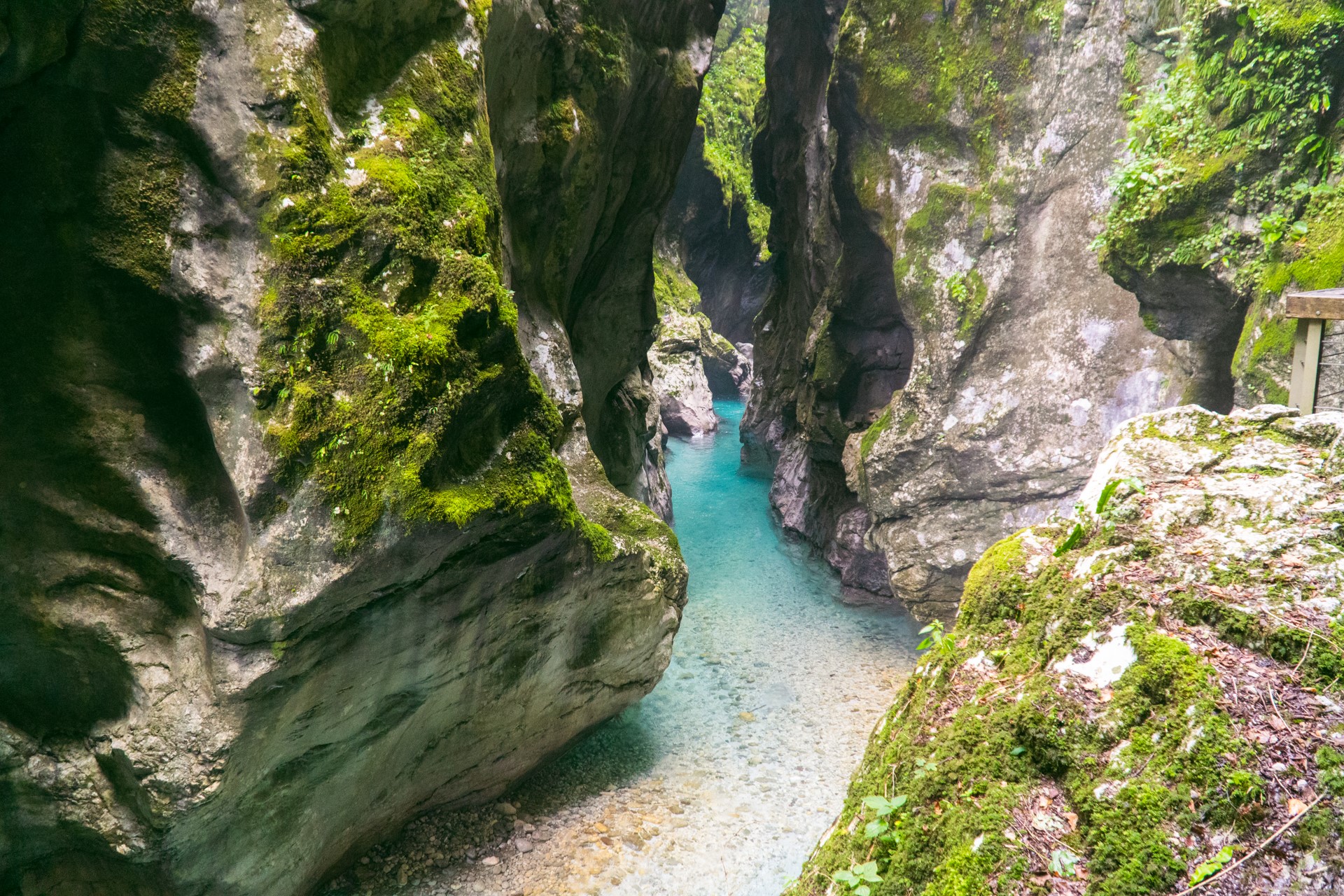Niebieska woda w Wąwozie Tolmin | Zwiedzanie Słowenii
