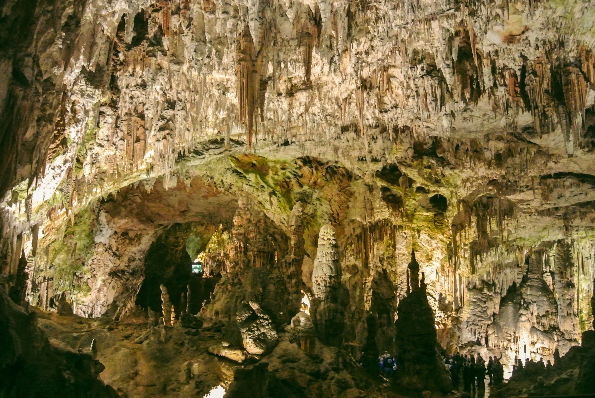 Grota w Jaskinii Postojnej | Jaskinie Szkocjańskie czy Postojna