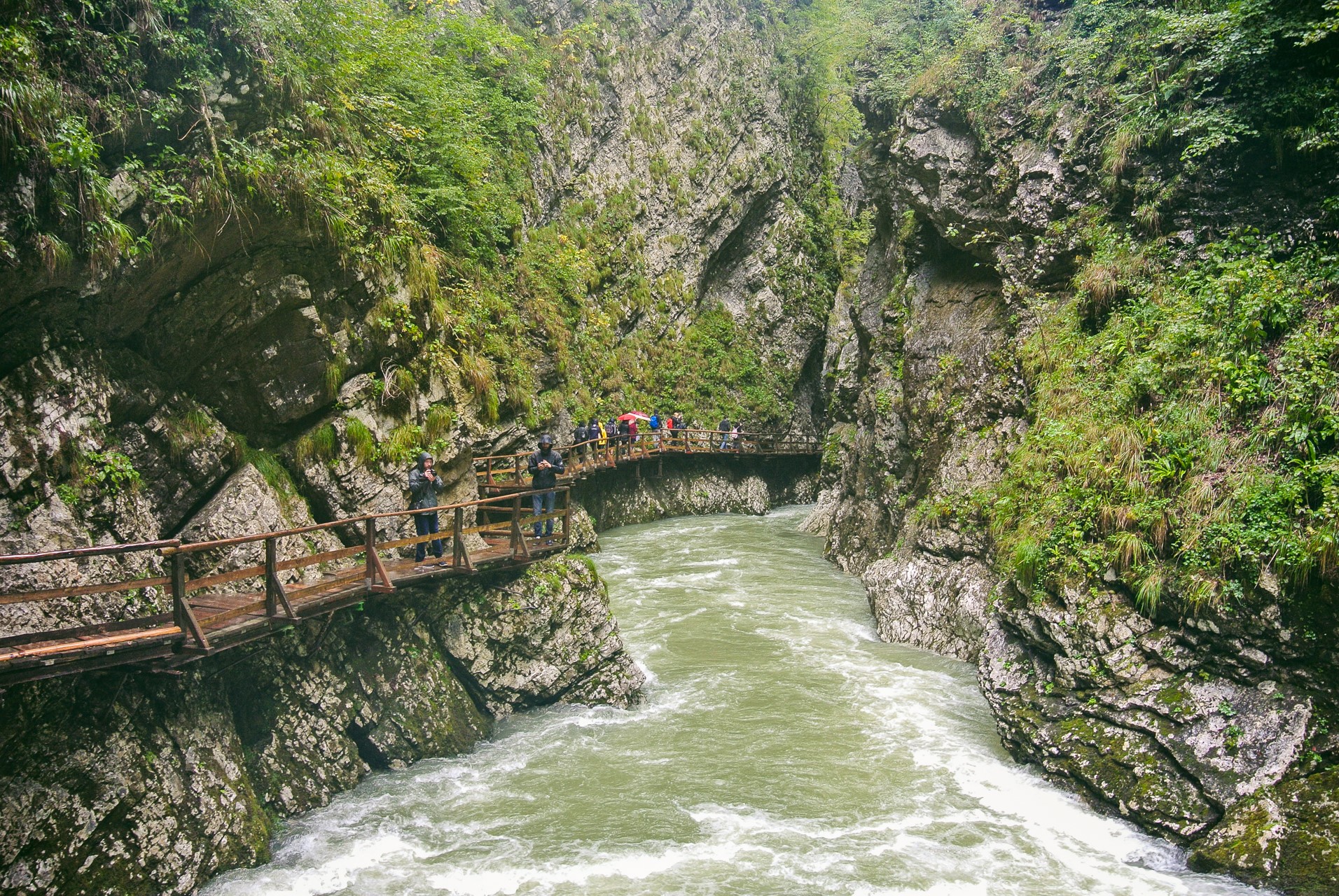 Vintgar Gorge | Najlepsza atrakcje w Triglavskim Parku Narodowym