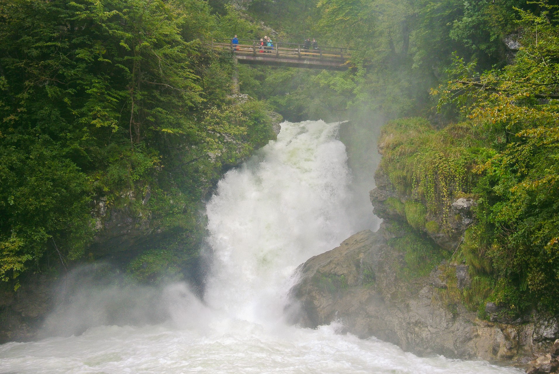 Wodospad w Wąwozie Vintgar | Najlepsza atrakcje w Triglavskim Parku Narodowym