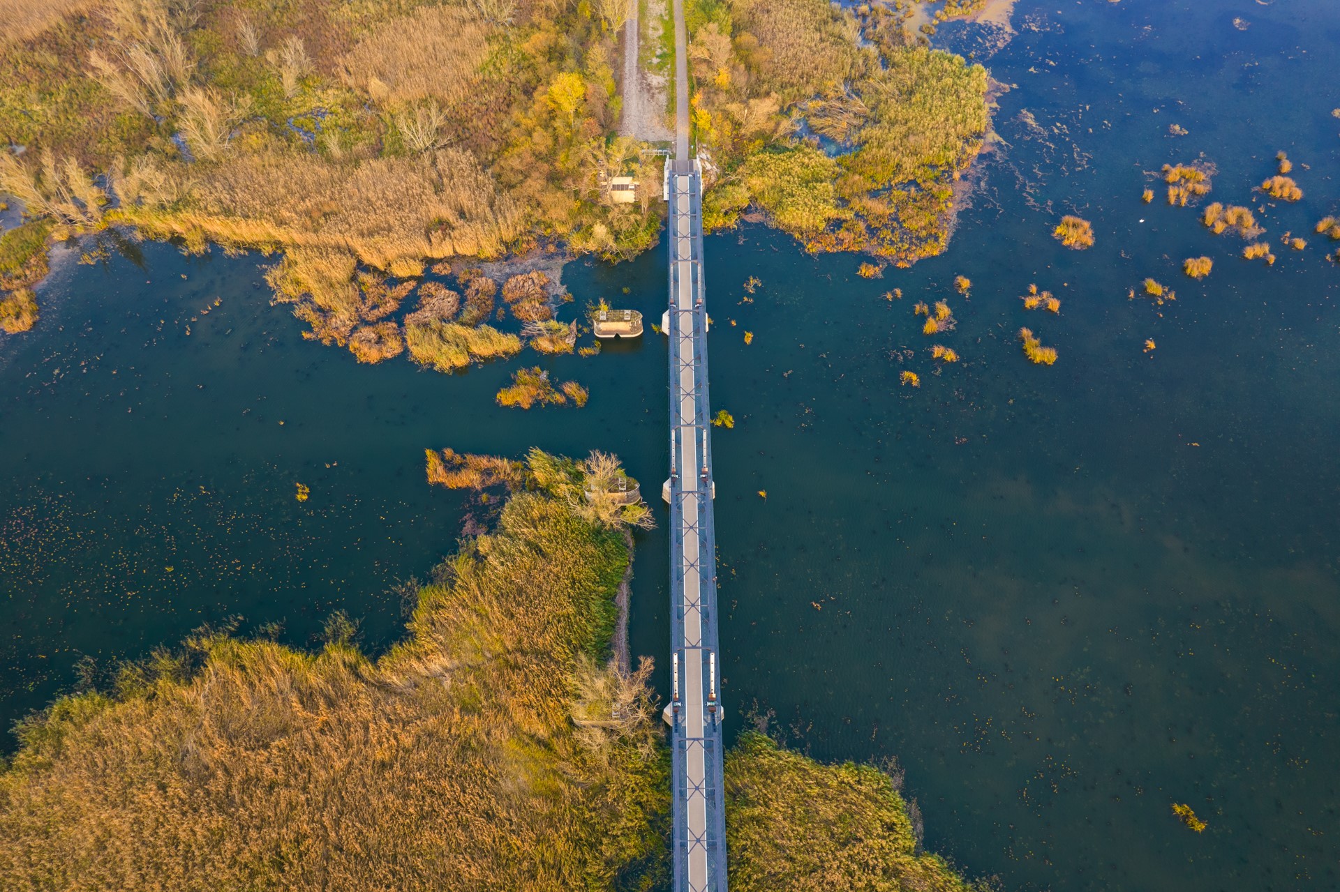 Widok na Most Europejski w Siekierkach z lotu ptaka | Pojezierze Myśliborskie