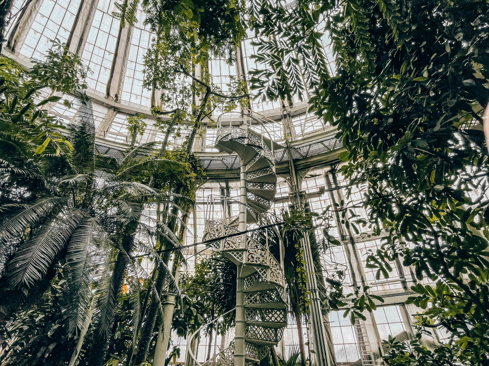 Spiralne schody w Ogrodzie Botanicznym | Atrakcje w Kopenhadze