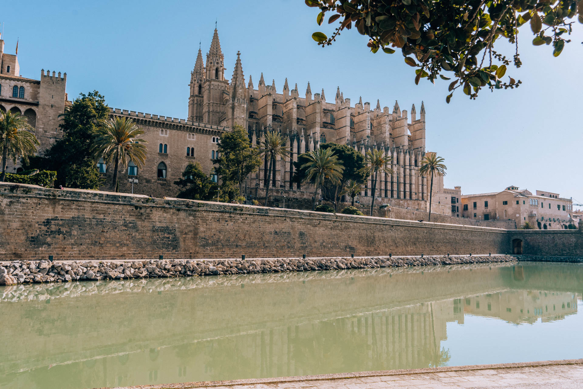Katedra w Palma de Mallorca | Atrakcje na Majorce
