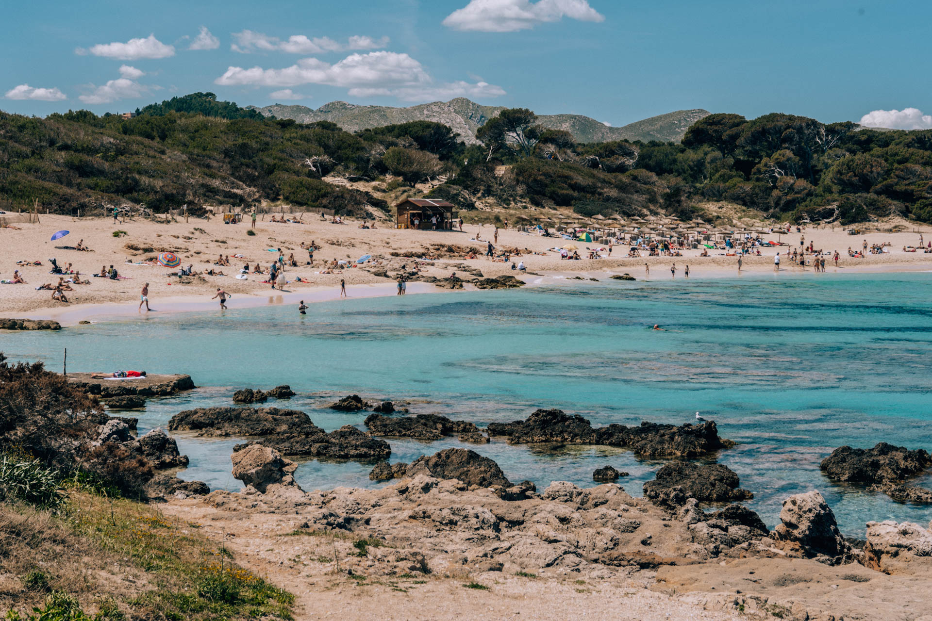 Plaża Cala Agulla | Zwiedzanie Majorki