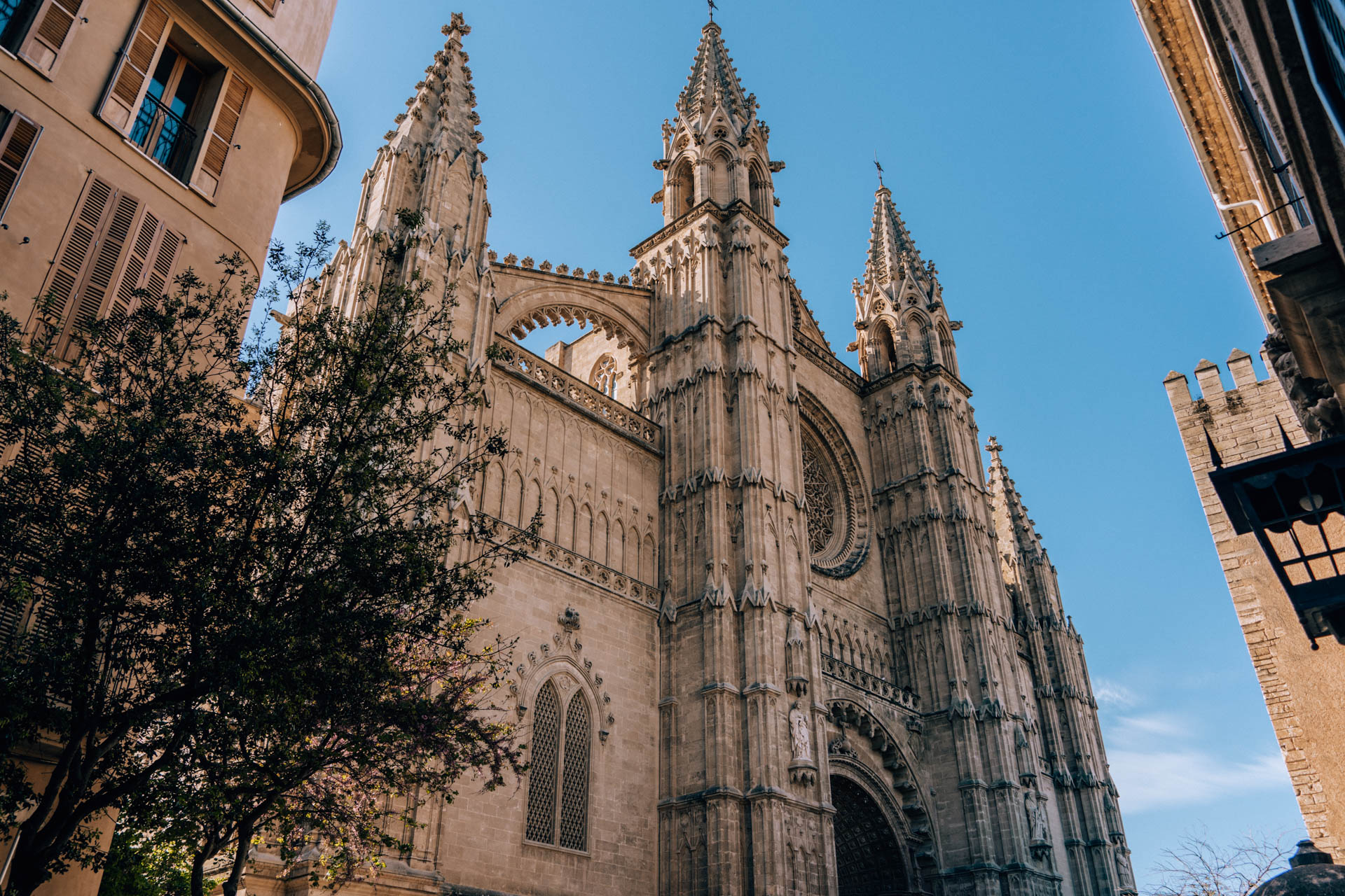 Katedra w Palmie | Zwiedzanie Majorki