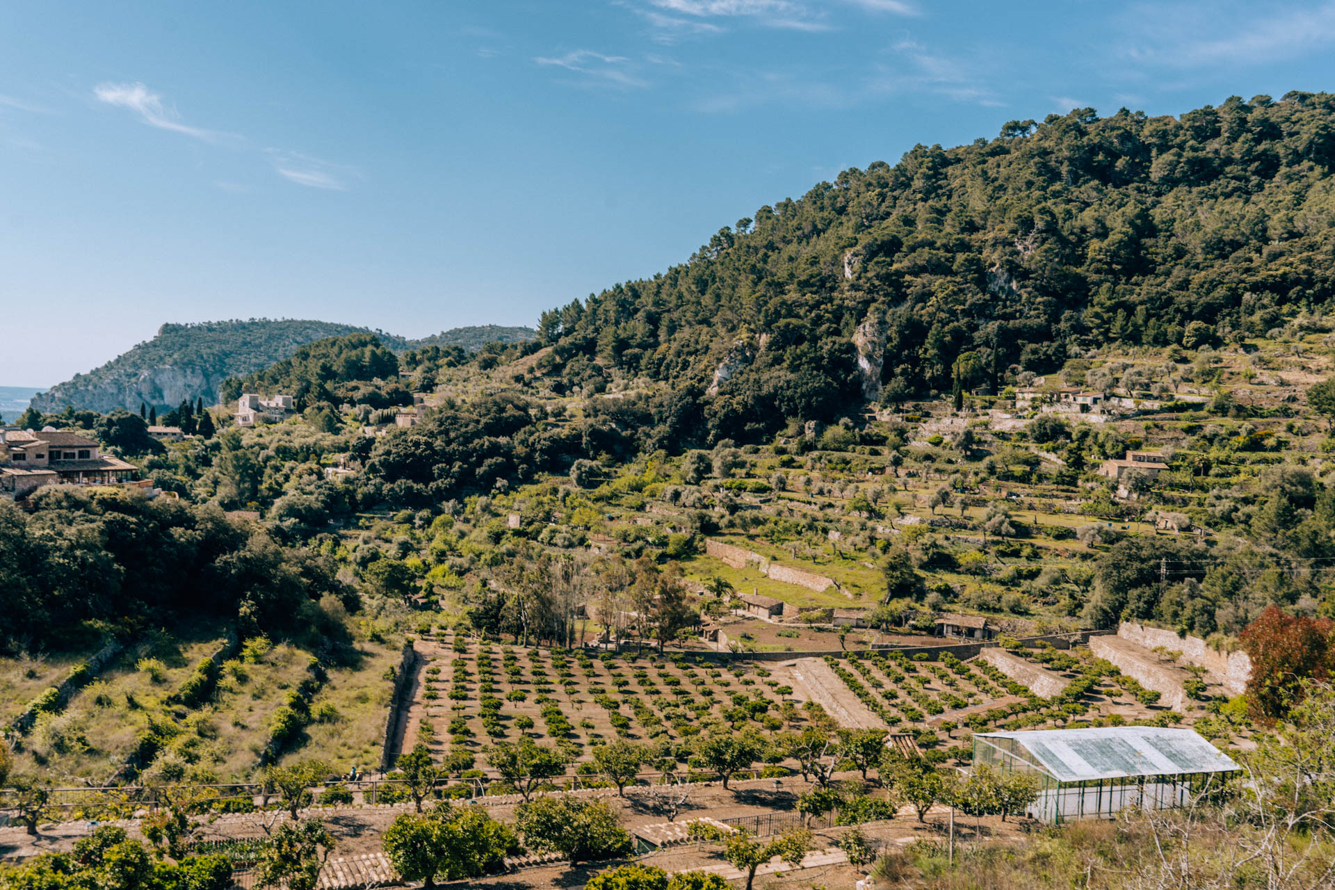 Wiosenny krajobraz w górach Serra de Tramuntana | Zwiedzanie Majorki