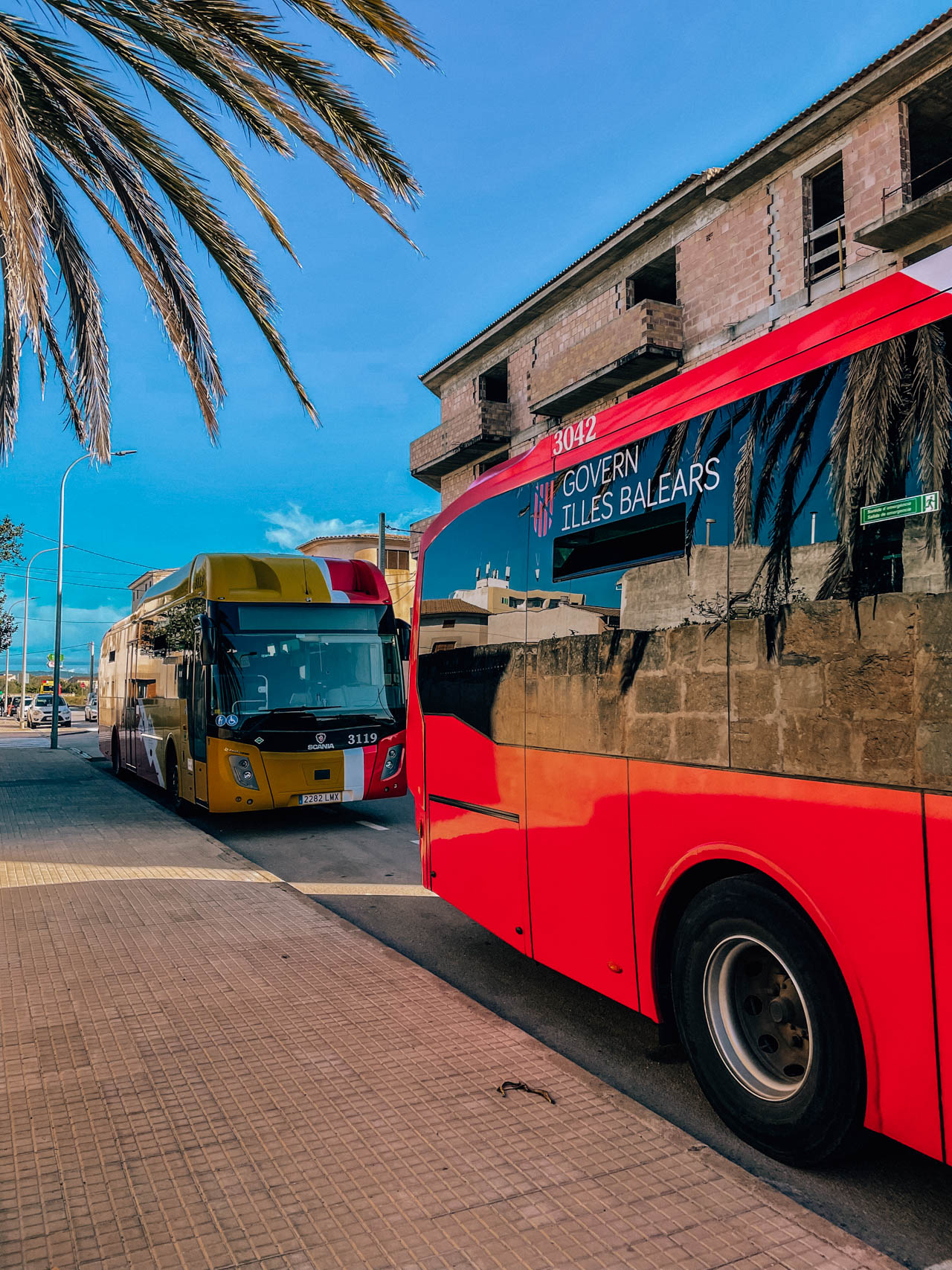Autobusy firmy TIB | Transport zbiorowyna Majorce