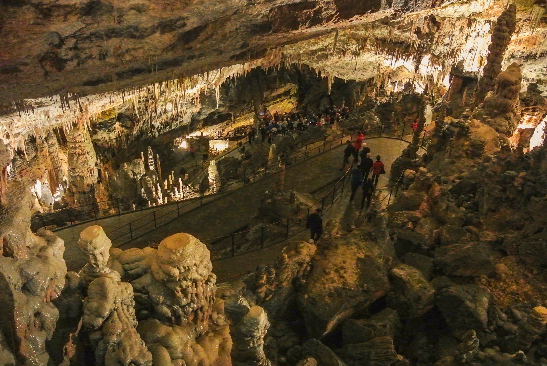 Jaskinia Postojna | Czy warto jechać do Słowenii?