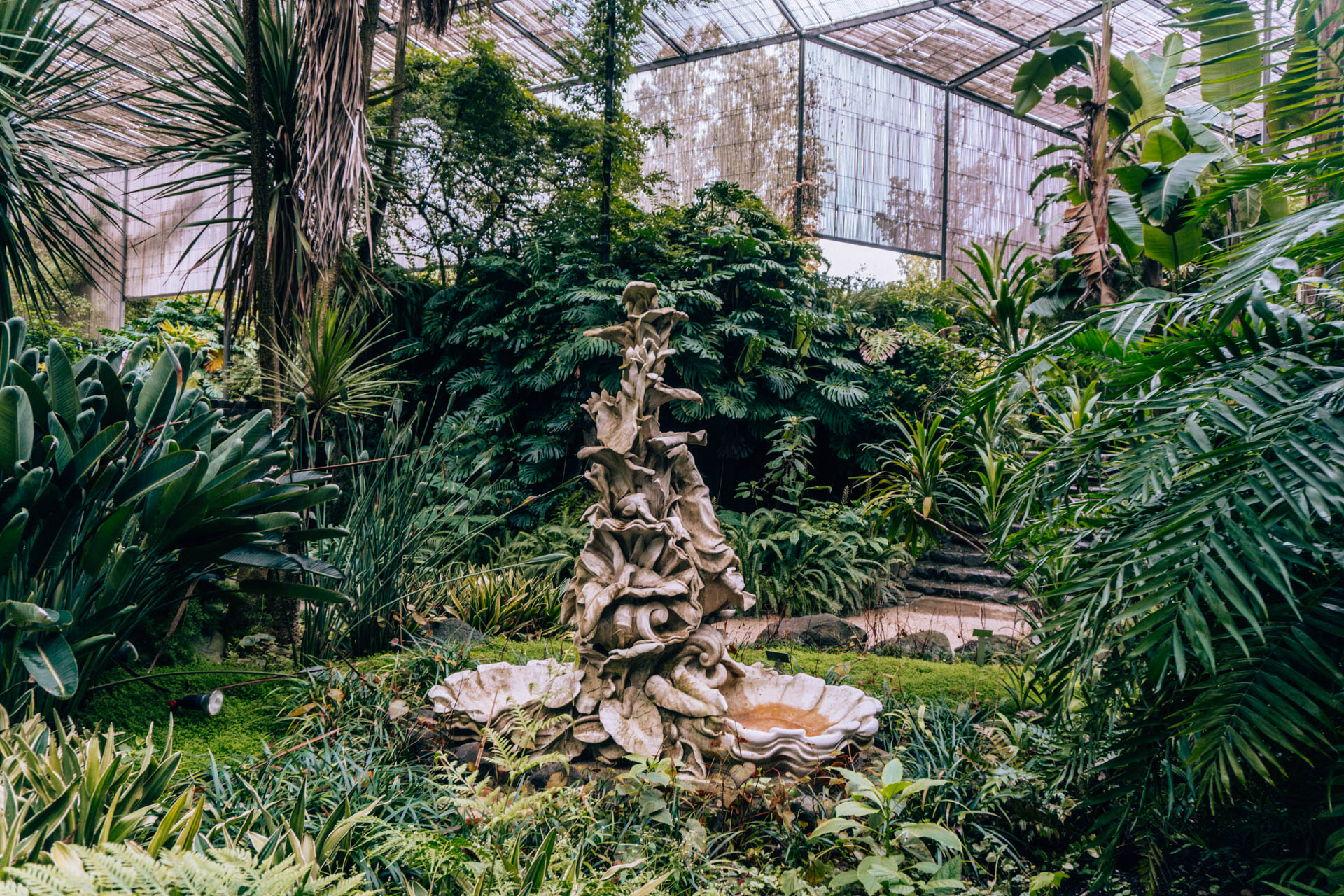 Ogród Botaniczny | Atrakcje w Lizbonie