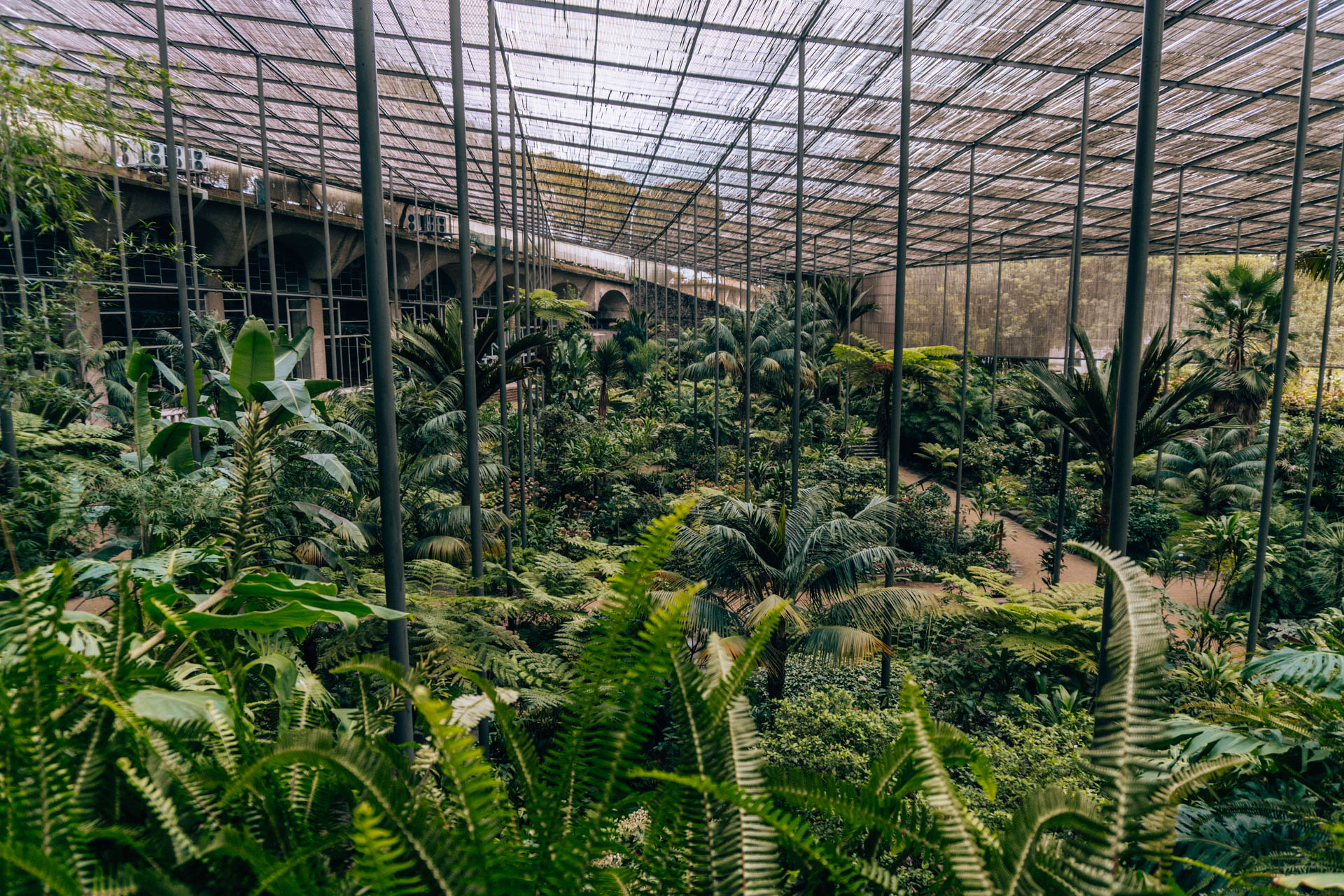 Szklarnia w Ogrodzie Botanicznym | Atrakcje w Lizbonie