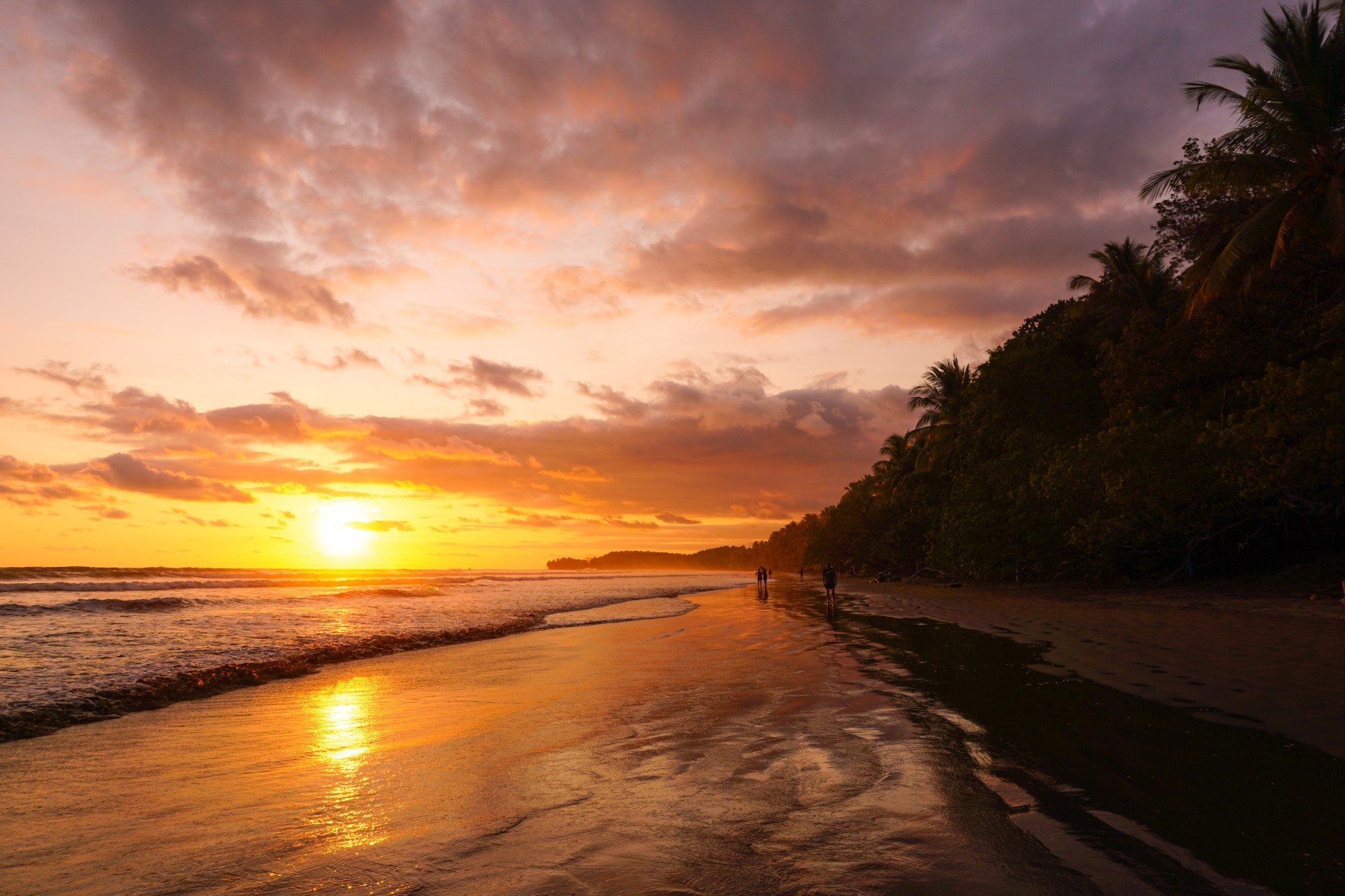 Plaża Kostaryka | Gdzie jechać zimą