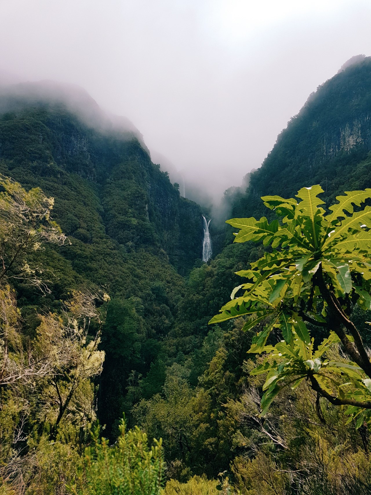 Wodospad na Maderze | Gdzie jechać zimą