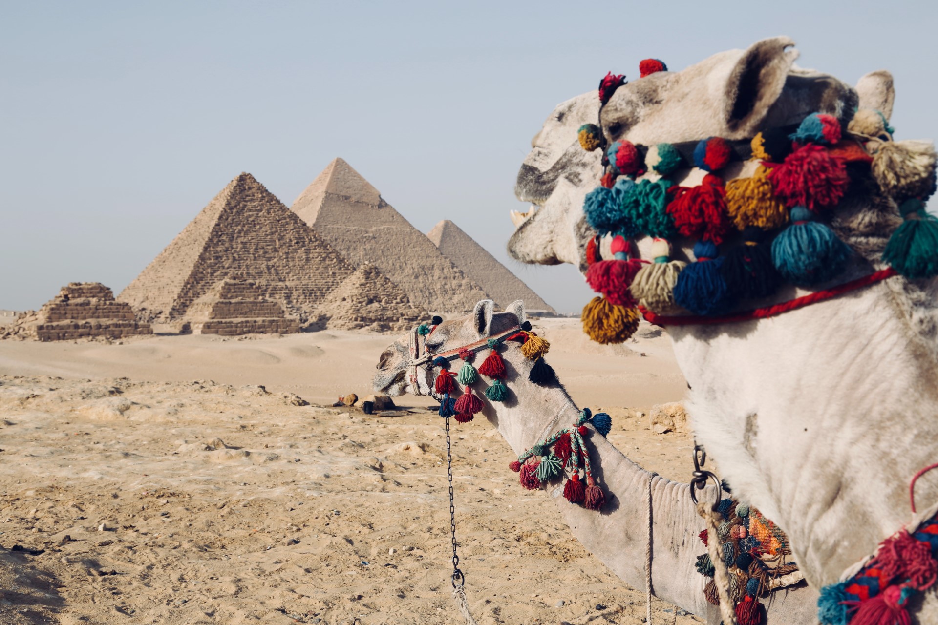 Egipt | Gdzie jechać zimą