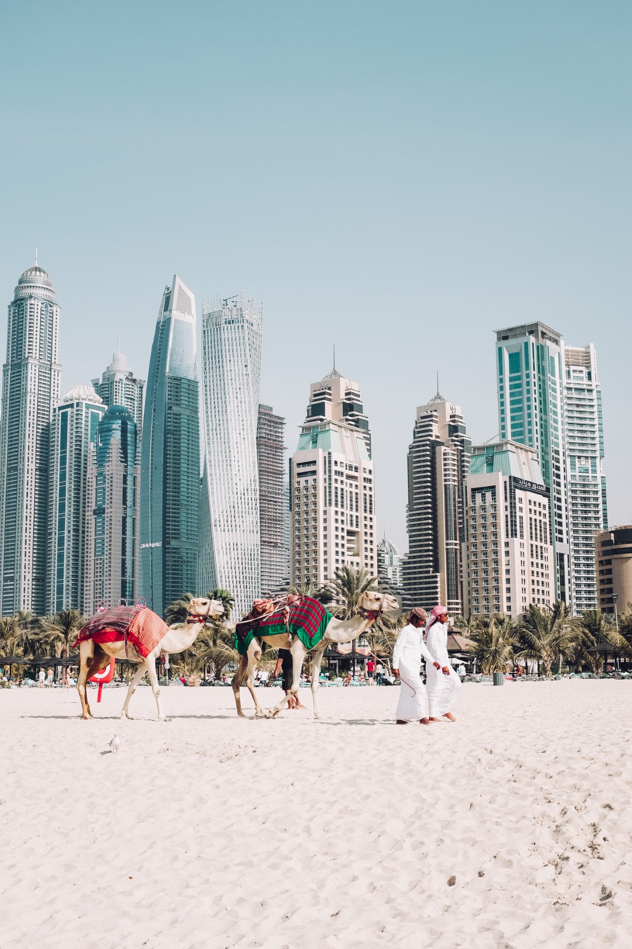 Plaża w Dubaju | Gdzie jechać zimą
