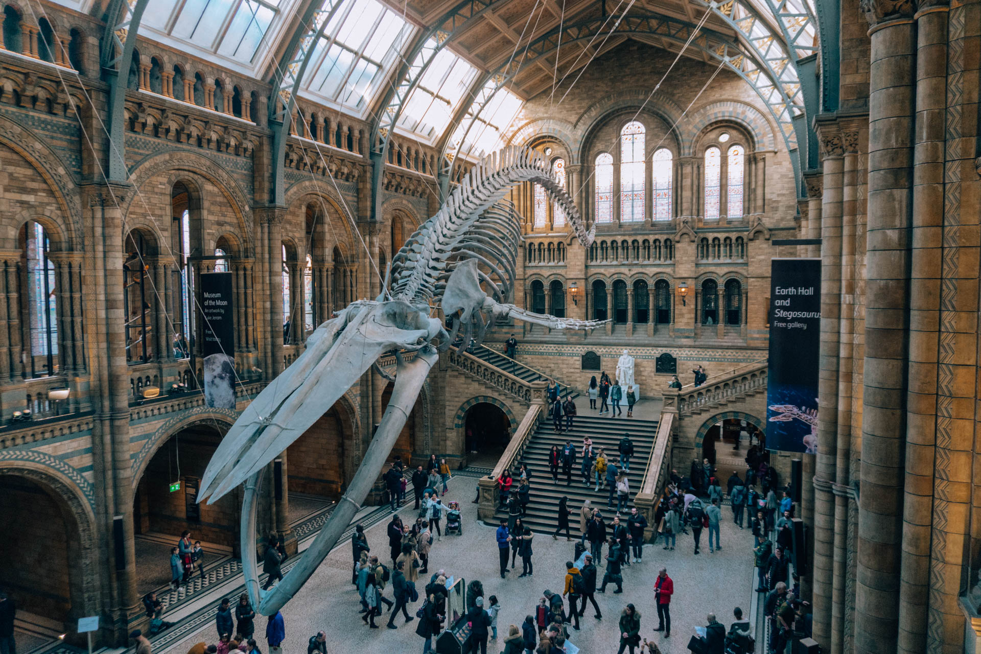 Muzeum Historii Naturalnej | Atrakcje w Londynie