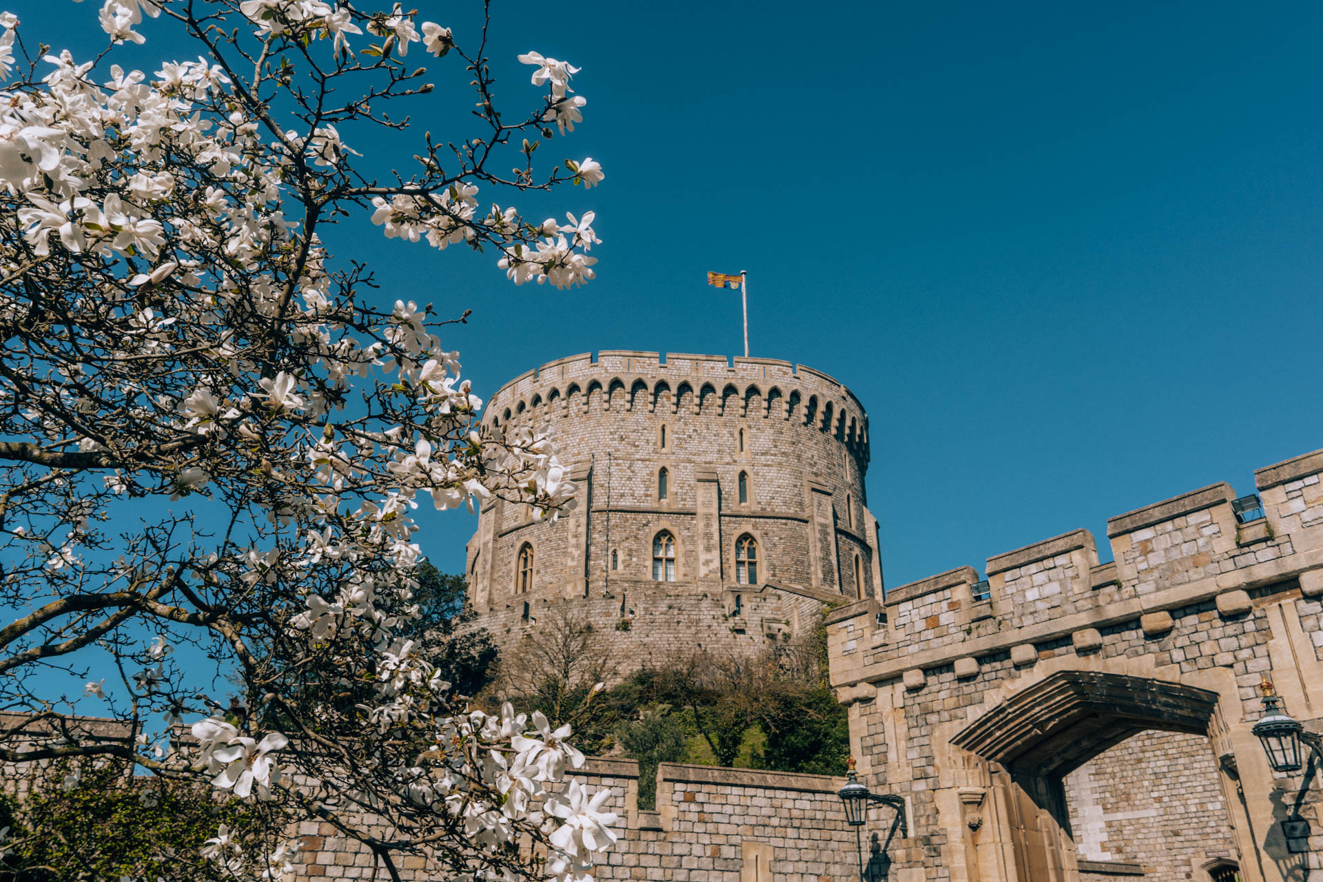 Zamek Windsor | Atrakcje w Londynie