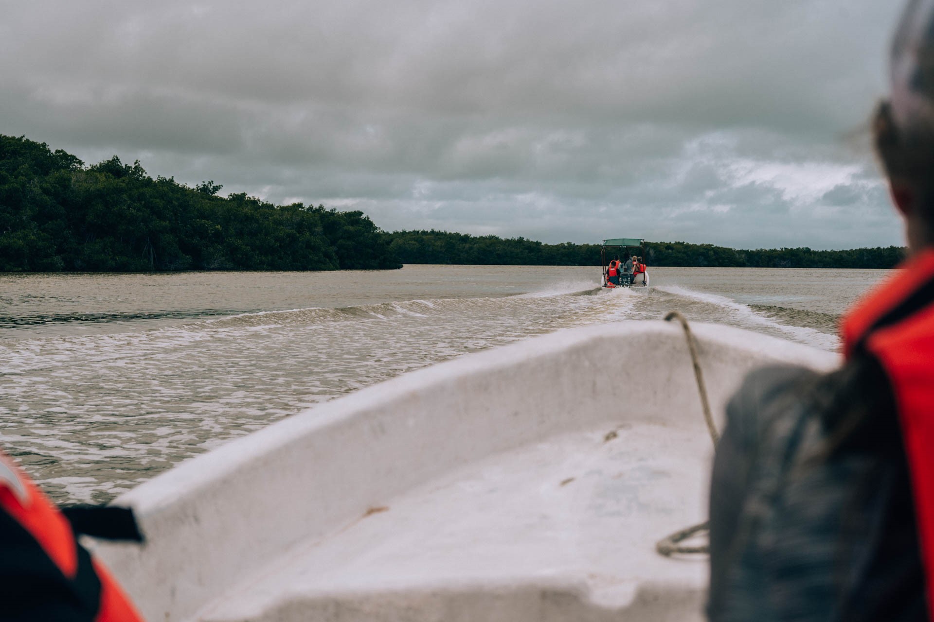 Rejs po lagunie Rio Lagartos | Atrakcje w Meksyku